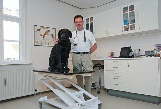 Steffen_i_hundekonsuktationen
